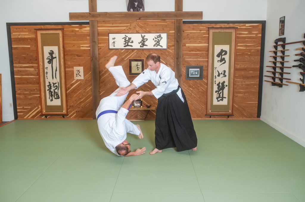 adult martial arts in lenexa kansas