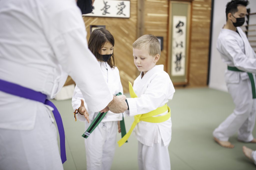 kids martial arts in lenexa, ks