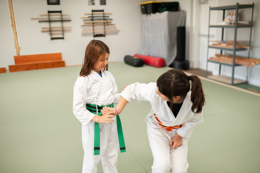 martial arts for children and adults in Olathe Kansas